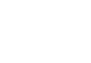 nWo logo